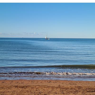 The Miggi Vegan Guesthouse The Miggi Vegan Guesthouse