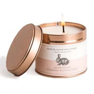 Vegan Bunny Vegan Bunny
