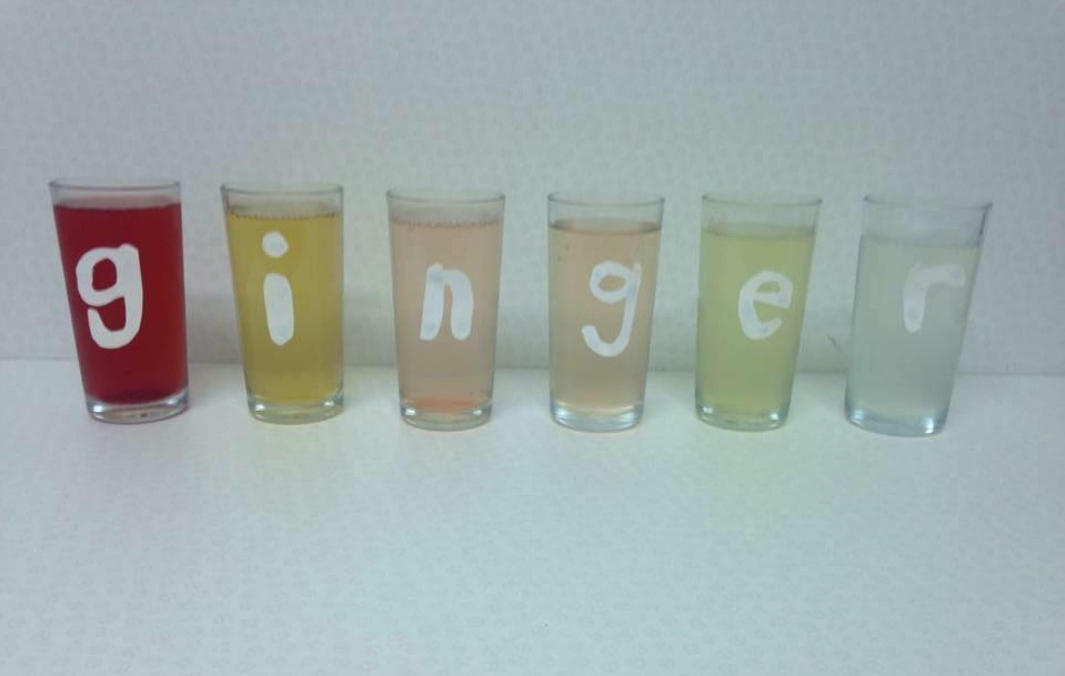 Ginger Vegetarian Cafe Ginger Vegetarian Cafe