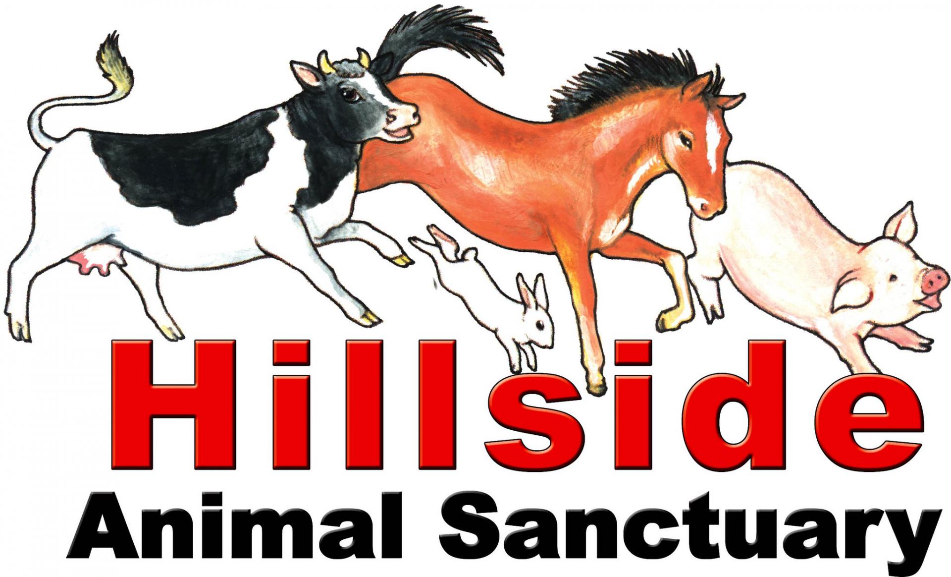 Hillside Animal Sanctuary Hillside Animal Sanctuary