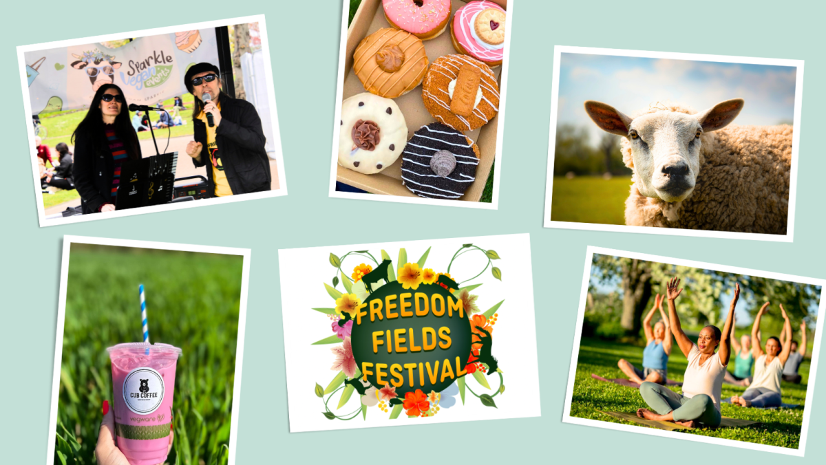 Freedom Field Festival Vegan Village