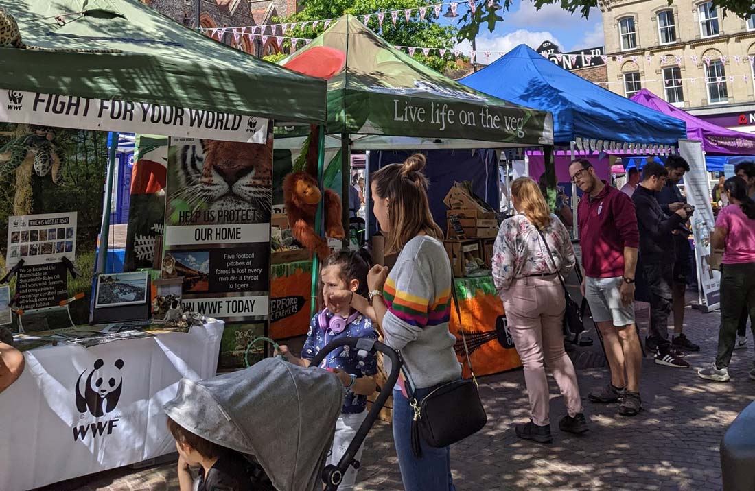 Newbury Vegan & Eco-Living Market - Nov 2025
