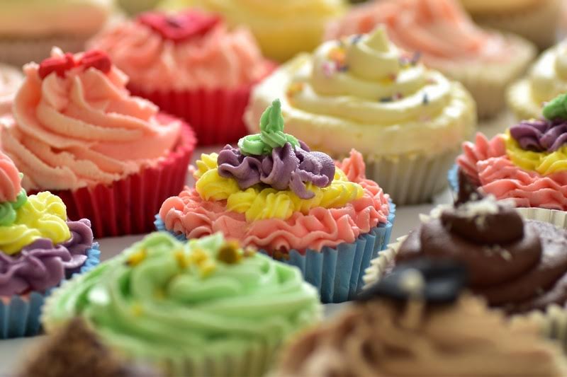 Northampton Vegan Festival