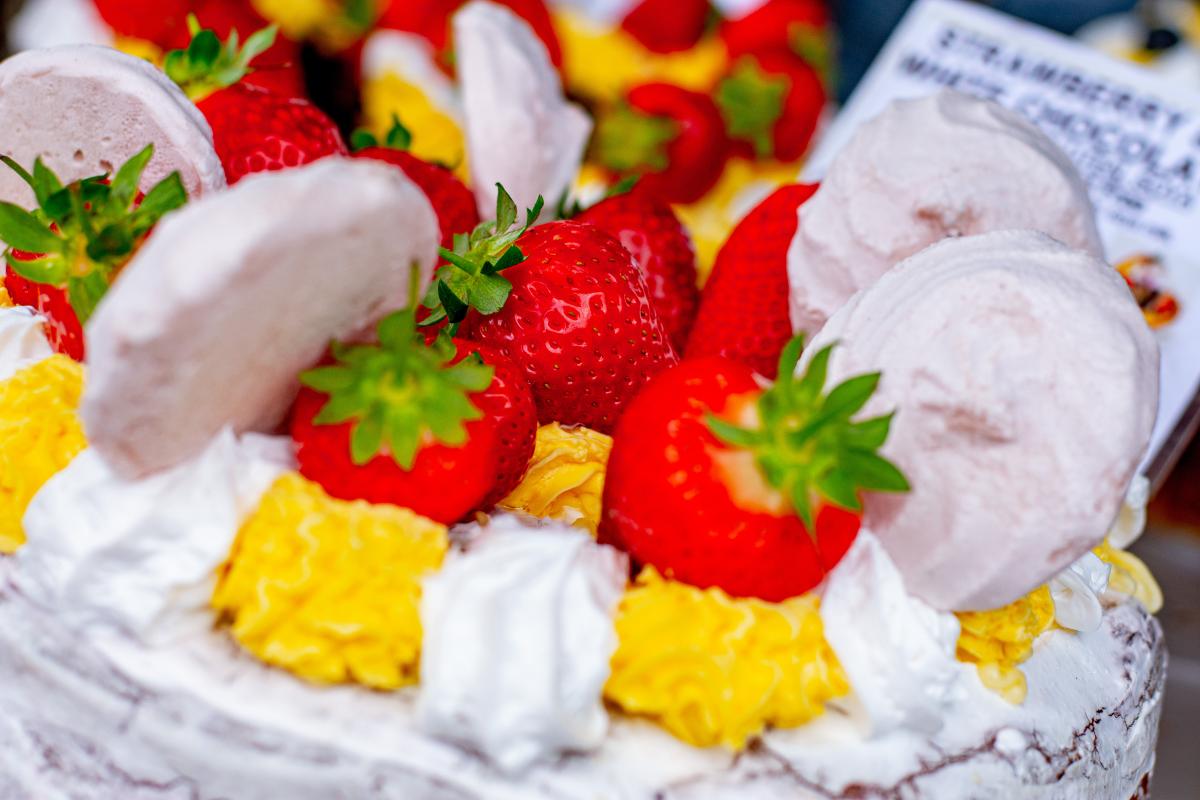 Newcastle Vegan Festival Newcastle Vegan Festival