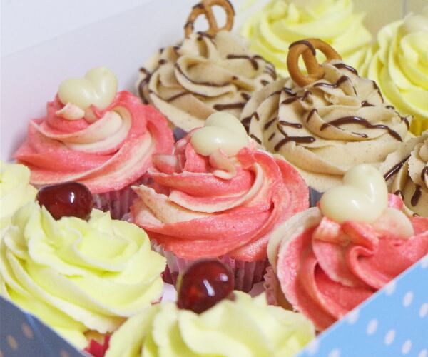 Birmingham Vegan Festival Birmingham Vegan Festival